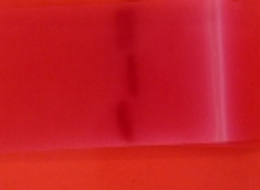 Bande d'acétate dans un bain de rouge ponceau